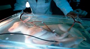 The Artificial Womb Is Born And The World of the Matrix begins