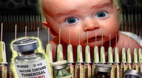 Baby Dies After 9 Vaccines in One Day