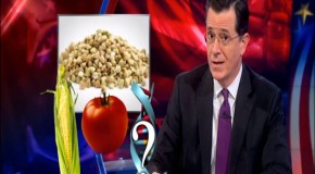 Video: Colbert On Washington GMO Labeling: ‘Questioning What’s On Your Plate Is Un-American’