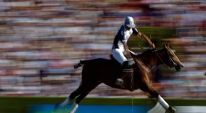 Argentine polo player rides cloned horse to win national championship.