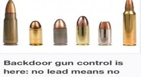 Backdoor gun control is here: no lead means no bullets