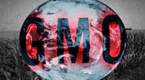 From Zyklon B to GM corn: How GMOs transformed food into a globalist weapon