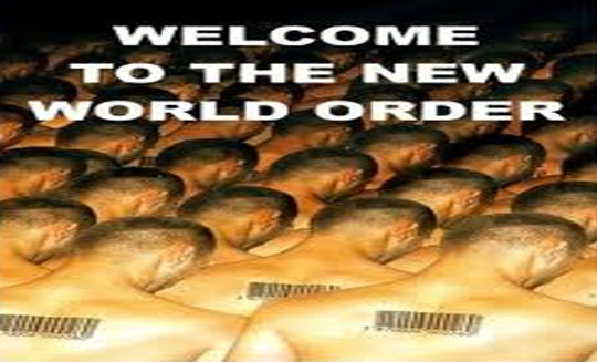 Video Scary New World Order Plans For 2014