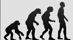 44 Reasons Why Evolution Is Just A Fairy Tale For Adults