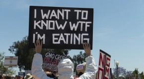 Battle over GMOs percolating in U.S., with 93 percent of Americans in favor of labeling