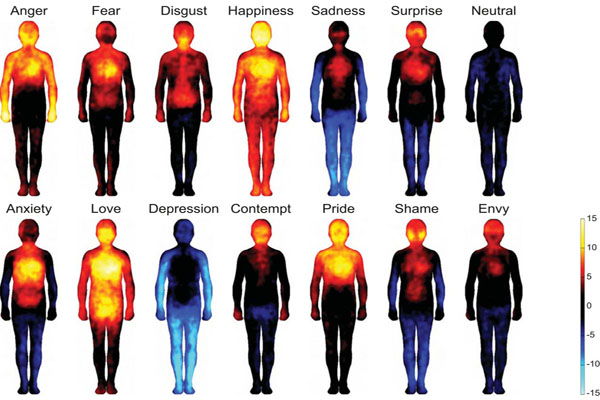 Body Atlas Reveals Where We Feel Happiness and Shame