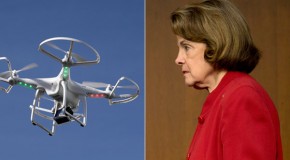Dianne Feinstein spots drone inches from face