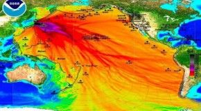 Discovery Channel: Stop Worrying About Fukushima Radiation!