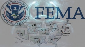 FEMA Seeking Contractors Who Can Supply Biohazard Disposal Facilities, Tarps and Housing Units With 24-48 Hours Notice