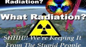 Former MSNBC Host Told Not to Warn Public About Fukushima