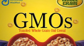 General Mills Drops GMOs…from Only ONE Kind of Cheerios. (Woo hoo.)