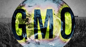 Leaked! Food Lobby Threatens to Sue Any State that Tries to Label GMOs