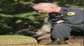 Man Sentenced to 35 Years in Prison For Shooting Police Dog