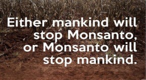 Monsanto’s Bt-Toxins Found to Kill Human Embryo Cells