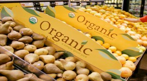 Organic food shortage hits US