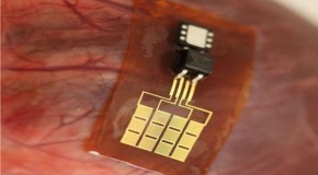 Scientists reveal Human-Powered Battery For RFID Implantable Chips