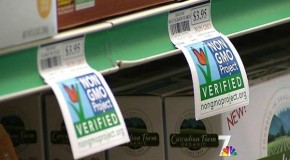 Shock: NBC’s Today Show Airs Report on Non-GMO Shopping