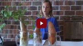 Video: This kid explains in 2 minutes why organic is better!