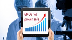 297 scientists, experts sign statement: GMOs not proven safe