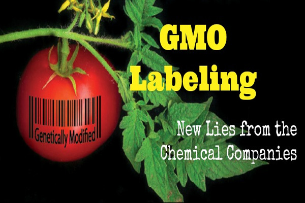 ​Food, biotech groups banding together to influence GMO labeling efforts