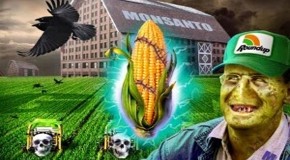 Monsanto’s Roundup: new deadly scam exposed