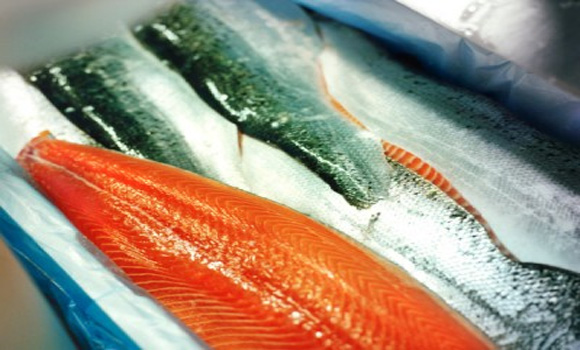 Norwegian Scientists Warn Against Eating Farmed Salmon: Everything You Need to Know About Farmed Fish