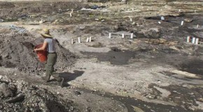 Prehistoric village found in downtown Miami