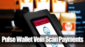 ‘Pulse Wallet’ Hand Scan Payment – Mark Of The Beast?