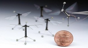 Rise Of The Insect Drones
