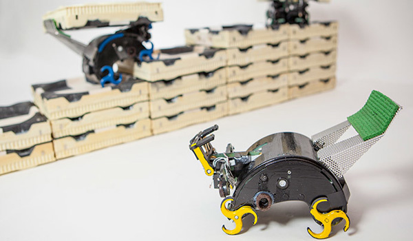Self-organizing robot armies produced – and all thanks to ingenious termite logic