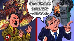 THE REICHSTAG FIRE WAS NOT A ‘FALSE FLAG’!