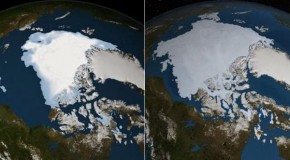 The Government KNOWS That Global Cooling Will Kill Millions But Still Refuses To Admit It Exists