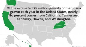 24 Mind-Blowing Facts About Marijuana Production in America