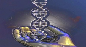 MIT Scientists Attempt to Create Nano-Bionic Plants
