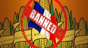 Monsanto’s ‘healthier environment’ ads banned in South Africa