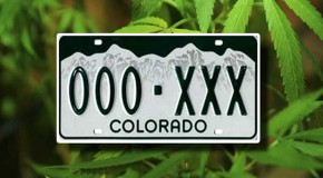 Police State…70 Year Old Man Arrested for Having Colorado Plates