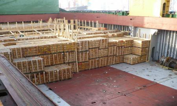 TSA Purchases 1,980 Sticks of Dynamite to Go With Their 3.5 Million Rounds of Ammo
