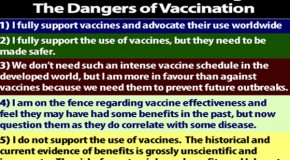 The 5 Phases of Awakening To The Dangers of Vaccination