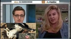 Bundy supporter OWNS Chris Hayes on MSNBC: ‘We will not allow governance by gunpoint, ever’