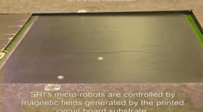 CA Scientists Create Army Of Robo-Ants