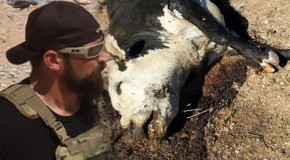 EXCLUSIVE: Evidence of BLM’s Deadly Abuse of Animals Taken from Bundy Ranch