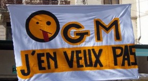 Effective Immediately: France Bans All GMO Cultivation
