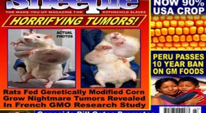 GENETICALLY MODIFIED ORGANISMS: KILLING THE NATURAL WORLD