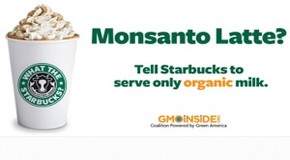 Tell Starbucks to stop serving Monsanto: no more GMOs in our lattes