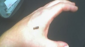 The Mark: Scientist Claims Human Microchip Implants Will Become “Not Optional”