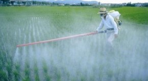 Toxic Combo of Roundup and Fertilizers Blamed for Tens of Thousands of Deaths