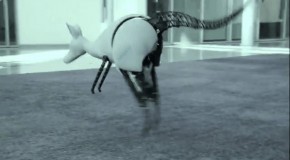 Meet ‘Robo-roo’, the bizarre bionic KANGAROO that can hop forever thanks to its self-recharging legs