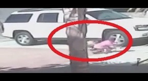 AMAZING VIDEO: Cat saves boy from dog attack in Southwest Bakersfield