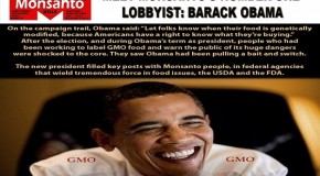 Barack Obama and the Monsanto betrayal