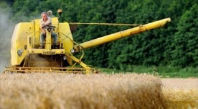 Corporations and wealthy elites now control more than 75 percent of the world’s farmland